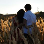 Kullu Manali Shimla Honeymoon Tour Packages from Ambattur