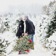 Kullu Manali Shimla Honeymoon Tour Packages from Amritsar