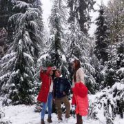 Kullu Manali Shimla Honeymoon Tour Packages from Bhiwani