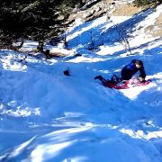 Kullu Manali Shimla Honeymoon Tour Packages from Damoh