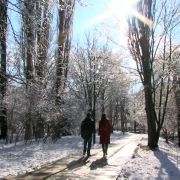 Kullu Manali Shimla Honeymoon Tour Packages from Durg