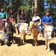 Kullu Manali Shimla Honeymoon Tour Packages from Guna