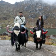 Kullu Manali Shimla Honeymoon Tour Packages from Habra