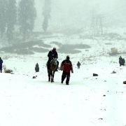 Kullu Manali Shimla Honeymoon Tour Packages from Haora