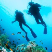 Kullu Manali Shimla Honeymoon Tour Packages from Jammu