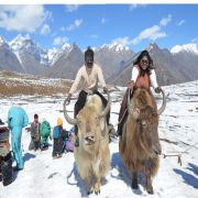 Kullu Manali Shimla Honeymoon Tour Packages from Khanna