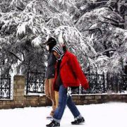 Kullu Manali Shimla Honeymoon Tour Packages from Kishanganj