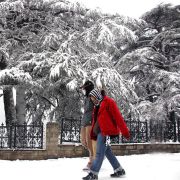 Kullu Manali Shimla Honeymoon Tour Packages from Korba