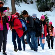 Kullu Manali Shimla Honeymoon Tour Packages from Neyveli