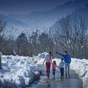 Kullu Manali Shimla Honeymoon Tour Packages from Pithampur