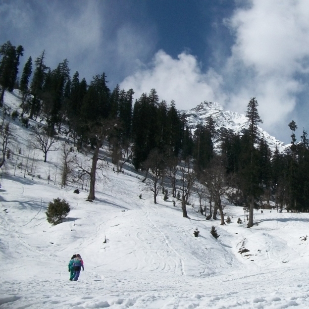 Kullu Manali Shimla Honeymoon Tour Packages from Ramagundam
