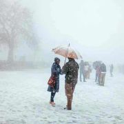 Kullu Manali Shimla Honeymoon Tour Packages from Tenali