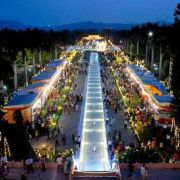 Kullu Manali Shimla Honeymoon Tour Packages from Haryana