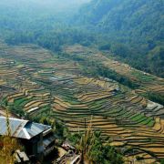 Kullu Manali Shimla Honeymoon Tour Packages from Nagaland