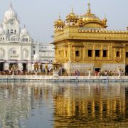 Kullu Manali Shimla Honeymoon Tour Packages from Punjab